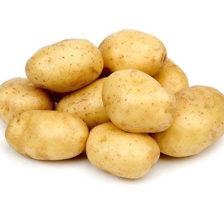 بطاطا عراقية