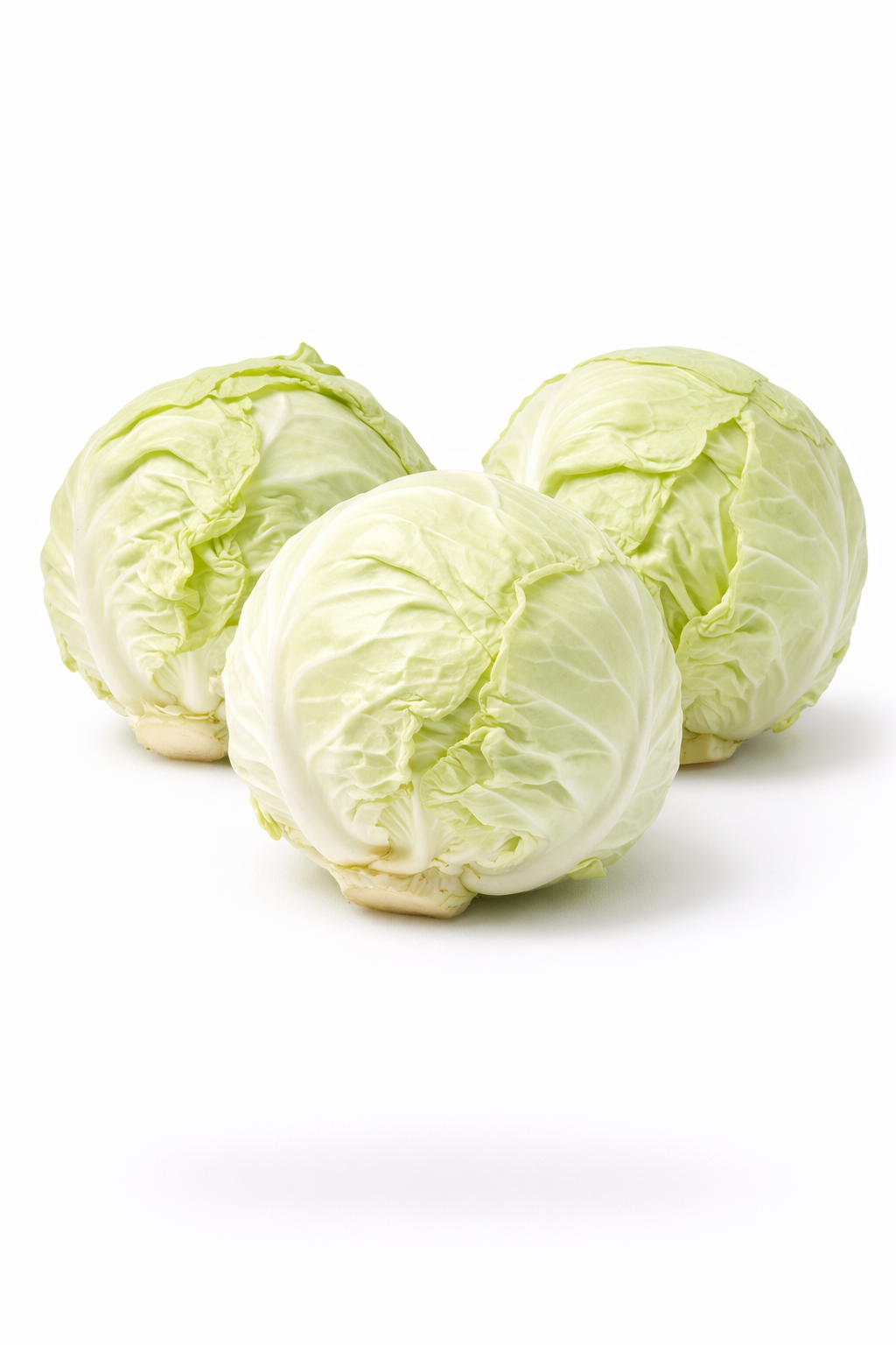لهانة بيضاء