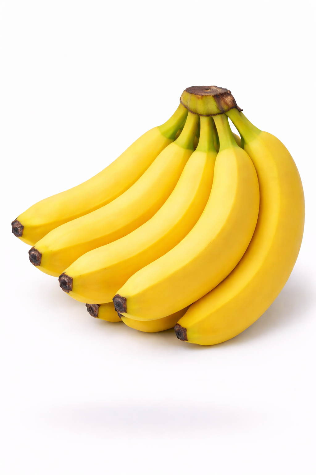 موز كوادوري خشن